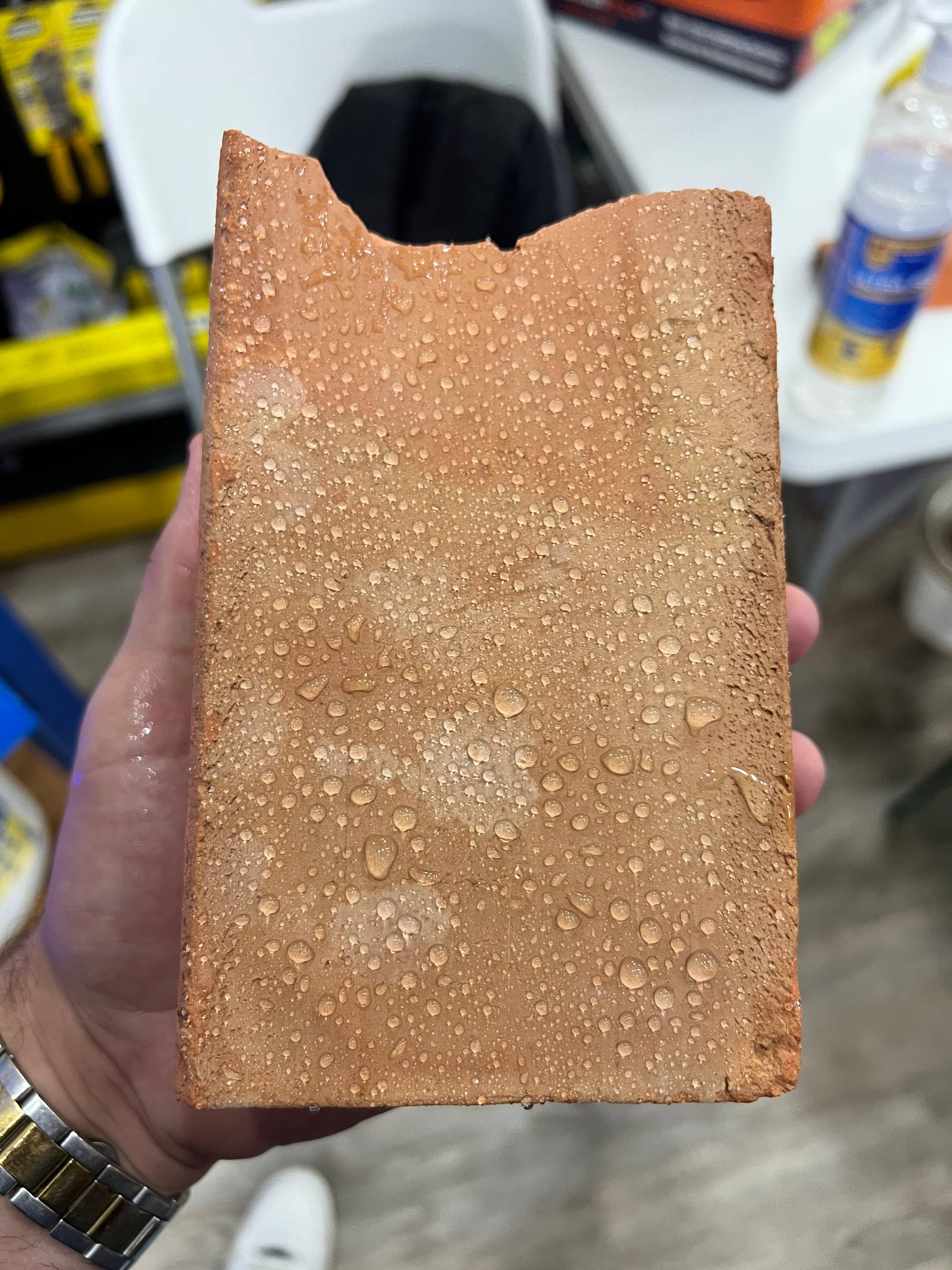 Resultado de Hidrofobia en Teja