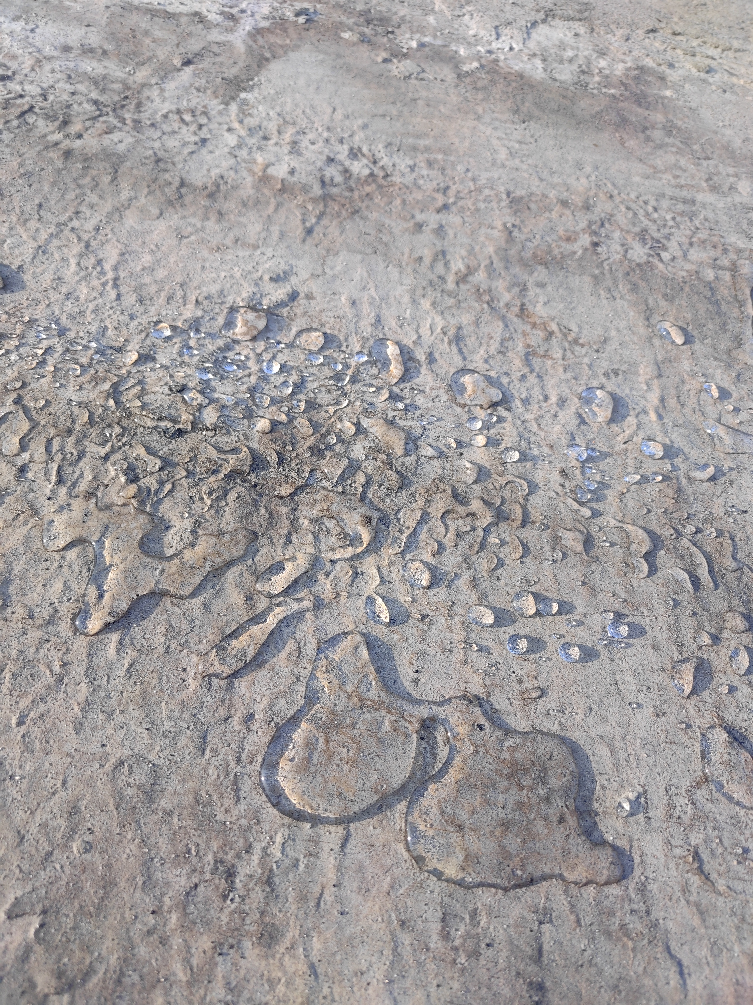 Efecto hidrofóbico 3